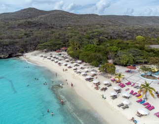 Curacao_Grote_Knip