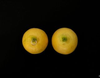 Fruit Porn