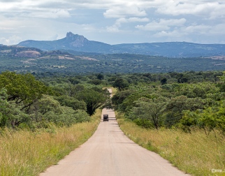 Kruger-Nationalpark