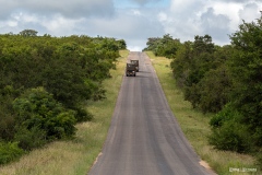 Kruger-Nationalpark-10-von-47