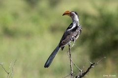 Kruger-Nationalpark-47-von-47