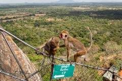 Sri-Lanka-118-von-178